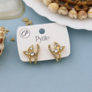 Fancy Diamond Earrings
